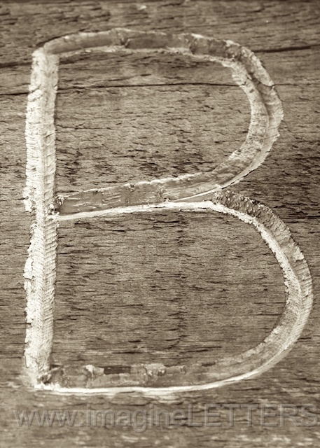 Wall_Art_Alphabet_Photography_Art_ 269.jpg